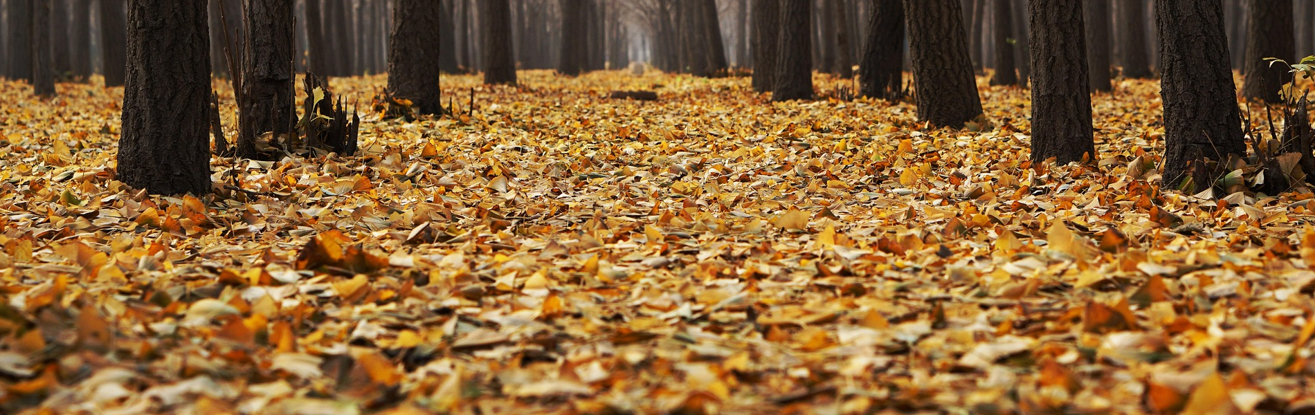 アールジービー株式会社